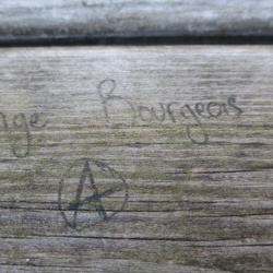 Forêt de Marly-le-Roi (78)