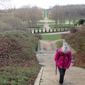 IMG 7037