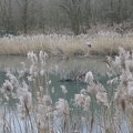 P1090567 - 