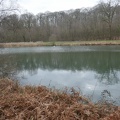 P1090568 - 
