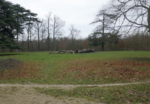 Les étangs de la Bièvre (91)