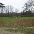 P1090587 - 
