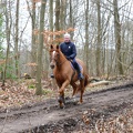 P1090592 - 