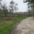 P1090594 - 