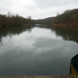 Les étangs de la Bièvre (91)