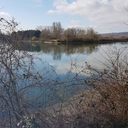 Saint-Martin-la-Garenne (78)