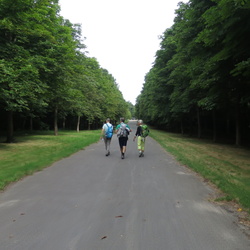 Parc de Saint-Cloud et forêt de Fausses Reposes