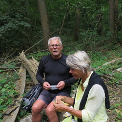 Parc de Saint-Cloud et forêt de Fausses Reposes