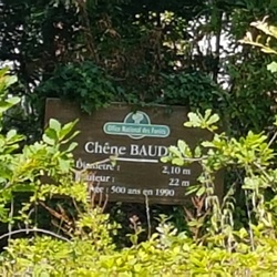 Les étangs de Hollande