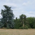 P1100236