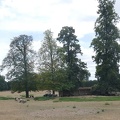 P1100238