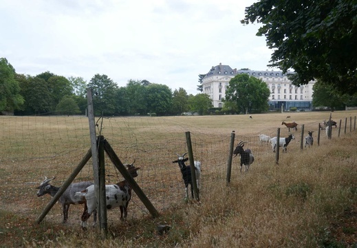 P1100239