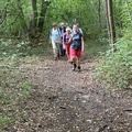 IMG 1086