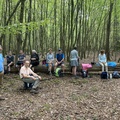 IMG 1091