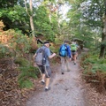 IMG 7242