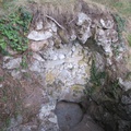 IMG 7248