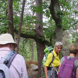 Fontainebleau, les Points de vue (77)