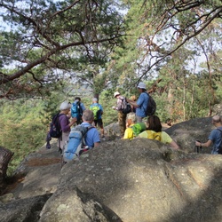 Fontainebleau, les Points de vue (77)