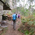 IMG 7275