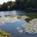 120144 Etang de Corot sous le soleil