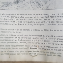 Forêt de Montmorency (95)
