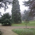 IMG 7380