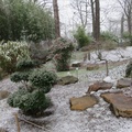 IMG 7388