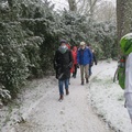 IMG 7399