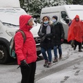 IMG 7405