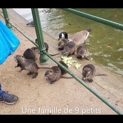 Marche Nordique du 22 janvier