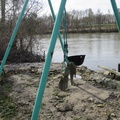 IMG 7442