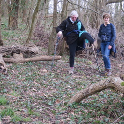 La boucle de l'Oise (95)