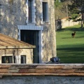 IMG 7476