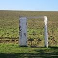 IMG 7479