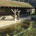 IMG 7484