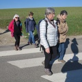 IMG 7494