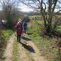 IMG 7511