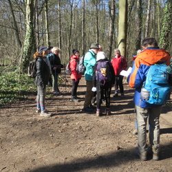 L'Isle Adam, la vallée du Sausseron (95)