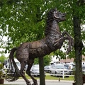 20210508 6 le cheval cabré du haras de Jardy