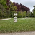 Un tapis de pâquerettes (parc de Saint-Cloud)