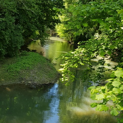 Journée canoë sur le Grand Morin