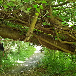 Journée canoë sur le Grand Morin
