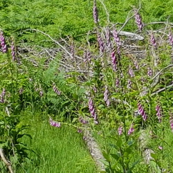 De Bullion à Rochefort-en-Yvelines