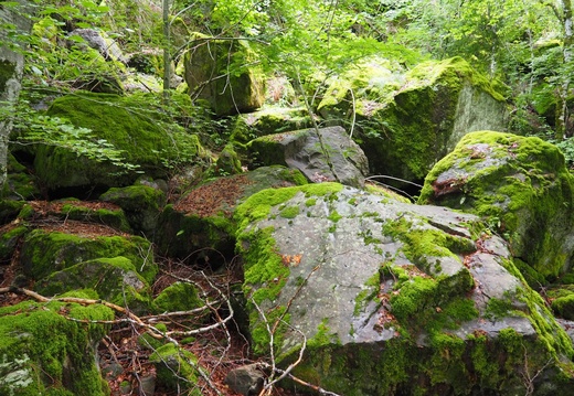 La route des Salhilès et la porte du Lion  