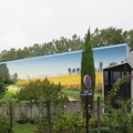 IMG 7754
