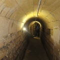 IMG 7768