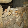IMG 7779