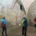 IMG 7781
