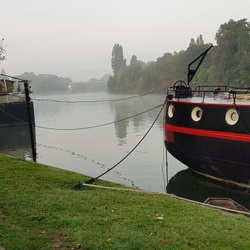 La marche contre le cancer (92)