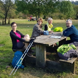 La marche contre le cancer (92)